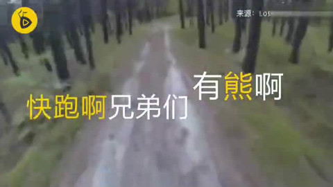 美国人VS俄罗斯人 在野外遇到熊的不同反应